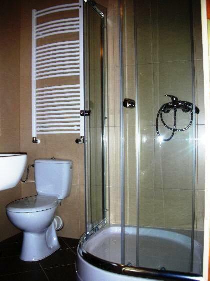 Apartamenty U Lutnika Centrum Закопане Екстериор снимка